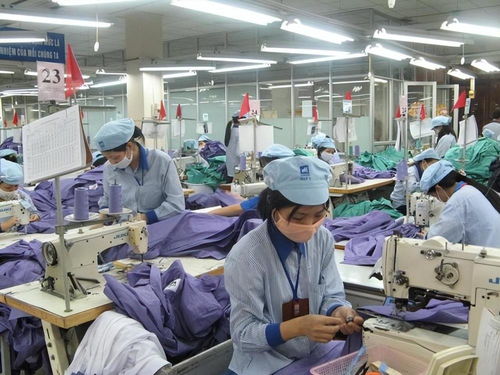 越南出口驟降80%、42900家工廠停工 訂單流失背后與中國的經濟角色
